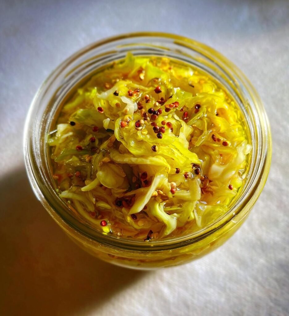 Fermented & preserved food recipes